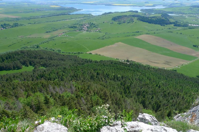 cerenova skala