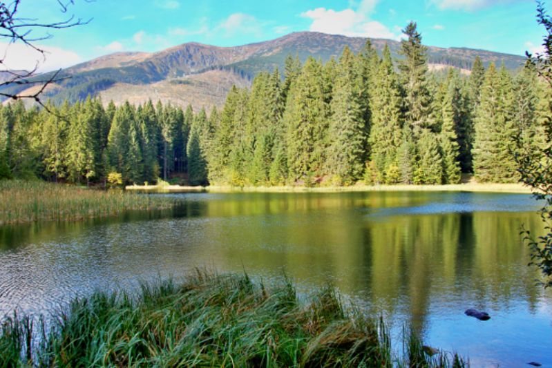 vrbicke pleso